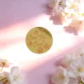 Golden acrylic Best Mom Ever cake topper for Mother's Day party cupcake decoration. - Best Mom Ever Gold Disk (Width Approx 5cm)