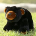 Peluche realistico di orso nero simpatico animale selvatico morbido regalo per bambini - Orso nero sdraiato realistico - Nero / 20cm