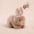 Cute moving ear rabbit plush pendant toy, soft stuffed animal keychain for girls and kids gifts. - Approx 14cm / Pull-String Moving Ear Rabbit Pendant - Brown