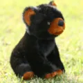 Peluche realistico di piccolo orso nero simpatico animale imbottito bambola regalo per bambini - Orso nero accovacciato realistico - Nero / 20cm