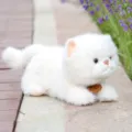 Süße weiße Kuschelkatze Plüschtier, weiche liegende Katzenpuppe für Kinder und Dekoration. - Liegende faule Katze - Weiß