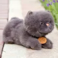 Charmantes graues Plueschkatzen-Spielzeug, flauschige weiche liegende Katze als Deko. - Liegende faule Katze - Schwarz