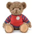 Simpatico orsacchiotto di peluche marrone con un comodo maglione a righe rosso e blu. - Orso con maglione vintage - rosso / 60 cm