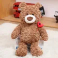 Brown plush teddy bear cute stuffed animal toy with heart decor for kids birthday gift. - Hug Baby Daniel Bear Plush Toys (Brown)