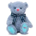 Schattige blauwe gekrulde teddybeer pluche knuffel met strik en geborduurde poten als cadeau. - Lichtblauwe wollen lintbeer