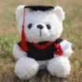 Abschluss Teddybär Plüschtier süßes Kuscheltier mit Mütze und Umhang für Geschenk. - Absolventen-Teddybär - Weiß & Rot
