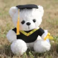 Süßer weißer Absolvent Teddybär Plüschtier mit Doktorhut und Diplom für Abschlussfeier. - Absolventen-Teddybär - Weiß & Gelb