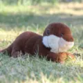 Cute simulation otter plush toy, brown and white stuffed animal doll for kids lovely gift. - Lying Otter - Brown / 25cm