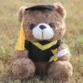 Abschluss Teddybär Plüschtier Puppe mit Doktorhut und Robe sowie Mini Diplom Variante. - Absolventen-Teddybär - Braun & Gelb