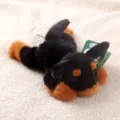 Cute puppy plush toy stuffed animal soft doll cute pet decoration gift for kids and friends - Lying Rottweiler