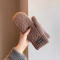 Close-up detail of winter brown knitted mittens with classic label tag soft warm fabric. - Labeled Cable Knit Full Finger / Brown
