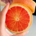 Round grapefruit shape wood pulp dish sponge non-stick oil kitchen cleaning tool 1pc - Orange
