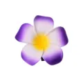 Primo piano di forcina per capelli con fiore di plumeria artificiale viola e giallo. - 02# Sfumatura Viola Bianco