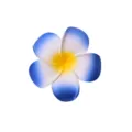 Primo piano dettagliato del fiore di plumeria artificiale blu e bianco per capelli. - 05# Sfumatura Blu Bianco