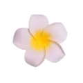 Elegante fermaglio per capelli con fiore di frangipani hawaiano per feste al mare bianco - 12# Petalo Bianco Centro Giallo