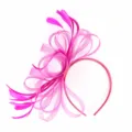 Φούξια φτερό fascinator στέκα μαλλιών δίχτυ φιόγκος αξεσουάρ μαλλιών γάμου πάρτι - Τριανταφυλλί