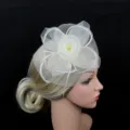 Vue détaillée de l'élégant coiffe de mariée fascinator en résille et plumes blanches. - Blanc Cassé