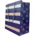 Blue and white striped paper gift bag with grey rope handles and cute box patterns. - C03 Blue