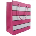 Pink and white striped paper gift bag with rope handles, ideal for retail and party packaging. - C02 Pink