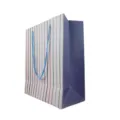 Vertical striped paper gift bag with blue handle, stylish retail packaging bag variant. - 20x11x20cm Gift Bag