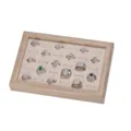 Solid wood jewelry display tray with beige velvet slot insert and multiple fashion rings. - White Wood Grain with Beige Velvet Interior