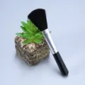Herramienta de arte de rascar negra y pincel de reparación con fondo de planta en maceta - Cepillo negro profesional