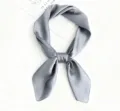 Solid color grey silk square scarf for women, 70cm elegant mulberry silk neck scarf. - 53x53cm / Frost Grey
