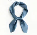 53x53cm / Autumn Smoky Orchid Blue