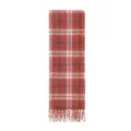 Detailed view of a cozy pink plaid winter scarf with elegant fringe and soft texture. - Pink Plaid