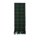 Detailed view of the classic green and black tartan plaid scarf with decorative fringe hem. - Dark Green Plaid