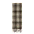 Classic green and brown plaid winter scarf with tassel fringe, soft and warm accessory for women. - Green Khaki Plaid