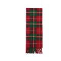 Classic red and green plaid scarf detail, cozy winter tartan tassel shawl for women warm. - Red and Green