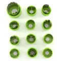 Stainless steel vegetable fruit cutter set, 12 shapes mini cookie mold baking tools for kids food - Twelve Pieces / Green