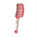 Spazzola per capelli con setole di cinghiale e perni di massaggio per lo styling quotidiano. - Rosso con piume