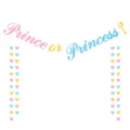 Gender reveal party banner detail featuring colorful hearts and prince or princess text. - Set: DFQ299 Prince or Princess Garland + DFQ298 4m Colorful Hearts Garland