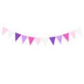Detailed view of purple theme party decorative flag featuring colorful hanging triangle bunting banner. - Bunting Banner (DFO161) / Purple Theme 3