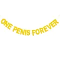 Gold glitter banner for bachelorette party with funny adult novelty phrase decoration. - DFQ605 Letter Banner