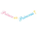 Gender reveal party banner featuring glitter letters spelling Prince or Princess in colorful style. - DFQ299 Prince or Princess Garland