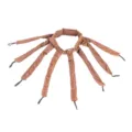 Comodo arricciacapelli senza calore a forma di polpo marrone fascia per styling notte - Versione Capelli Lunghi / Marrone