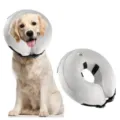 Detail shot showing the soft inflatable pet recovery collar and golden retriever wearing it. - S / Gray Buckle