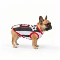 Camiseta deportiva transpirable para perro chaleco de verano casual a rayas blanco y negro - S / XZQY01