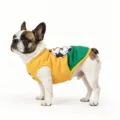 Camiseta chaleco de verano transpirable para perros, ropa de malla amarilla y verde. - S / XZQY02