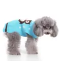 Cute blue pet knitted sweater with owl pattern, warm winter dog clothes for small dogs. - S / Blue