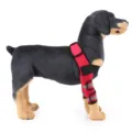 Rodillera para pata de perro roja manga de recuperación de mascotas con bandas reflectantes - Protectores de piernas reflectantes HJ17 rojos (par)