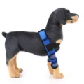 Ortesis de pierna perro soporte articulacion transpirable funda recuperacion ajustable - Protectores de piernas reflectantes HJ18 (par)
