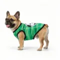 Chaleco deportivo de verano transpirable para perro con rayas verdes, ropa fresca para mascotas. - S / XZQY04
