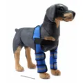 Rodillera para perros soporte de patas de mascota funda reflectante ajustable nueva - HJ33 Doble Pierna Delantera Azul (Soporte 3ª Gen)