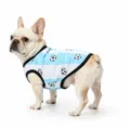 Breathable summer mesh dog sports jersey vest with blue white stripes and soccer ball print - XZQY05