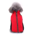 Red black dog winter fleece vest with back zipper warm pet apparel for small medium dogs variant - S / Red