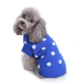 Blue Polka Dot Dog Knit Sweater Warm Winter Pet Two-Legged Clothes For Small And Medium Dogs - S / Blue